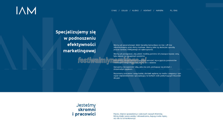 Instytut Audytu Mediowego
